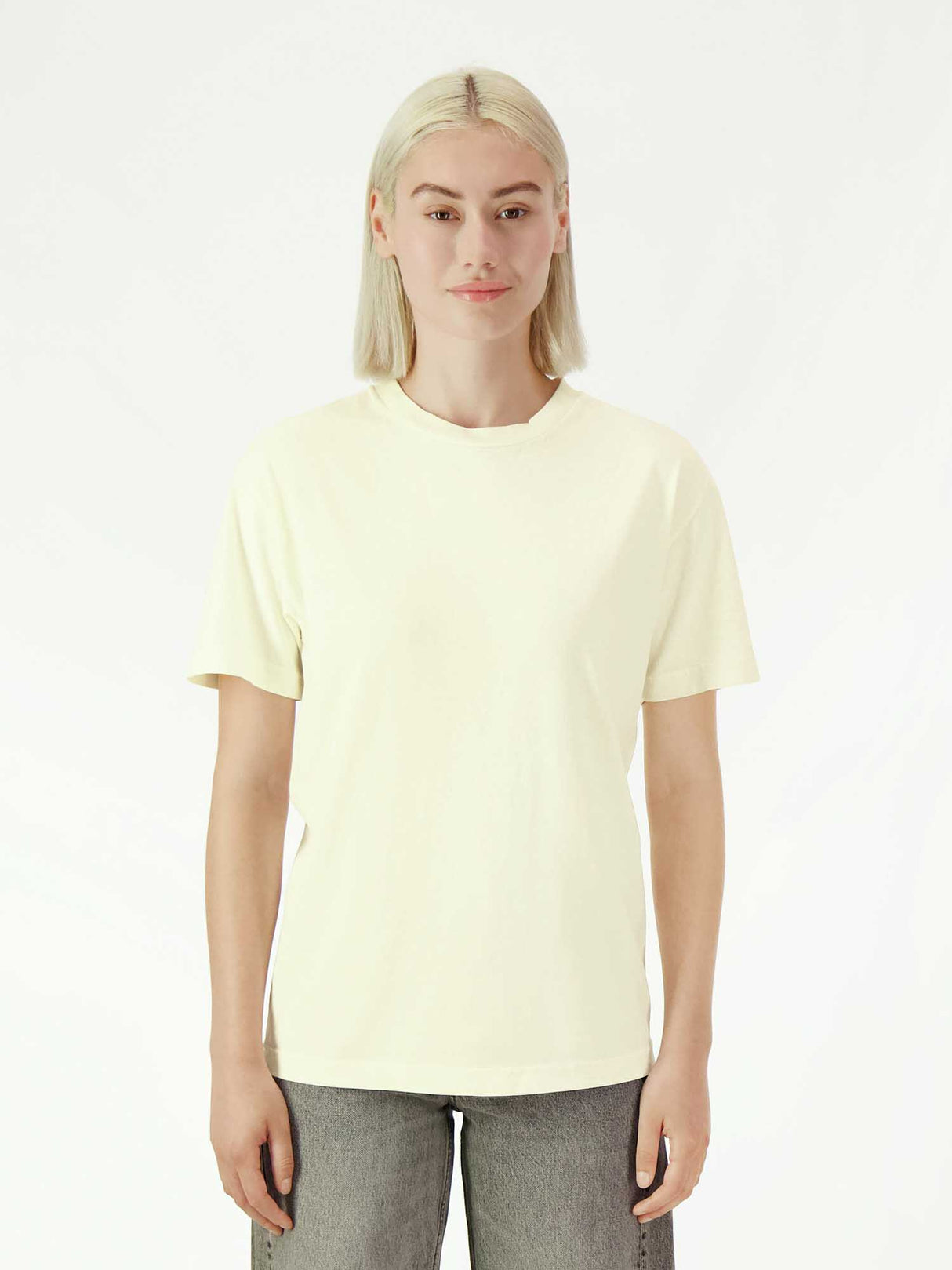 Adult Heavy Weight Garment Dyed T-Shirt